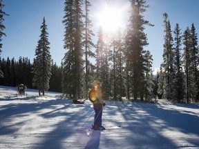 A skier passes trees on a ski run at Lake Louise ski resort. The resort has been fined $2 million for cutting down endangered trees along a ski run in 2013.