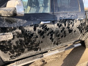A photo of Karen Van Heuvel's truck, which was visited by a moose overnight in the Okotoks area.