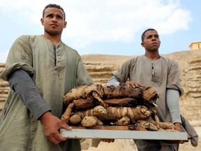 Men carry mummified cats from a tomb at the Saqqara necropolis in Egypt on Saturday.