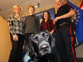L-R, Laura Watamanuk, Executive Director, Pacific Assistance Dogs Society (PADS), Margaret Hicks, Program Manager (PADS), Miranda Turenne, Trainer (PADS) and Cst Steve Hill, Victim Assistance Support Team with Rookie canine Calibri who will support Hawk and the Victim Assistance Support Team in their endeavours to comfort and assist victims of crime who face overwhelming situations as Calgary Police Service also celebrated Hawkís five-year anniversary as a CPS service member and Justice Facility Dog in Calgary on Thursday November 29, 2018. Darren Makowichuk/Postmedia