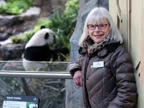Trish Exton-Parder, Lead, Media Relations, with the Calgary Zoo was photographed with the zoo's giant panda Da Mao in the background on Thursday December 13, 2018.  Gavin Young/Postmedia