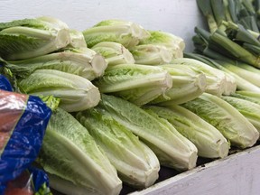 The Public Health Agency of Canada says it's probably safe to eat romaine lettuce again. Romaine lettuce is seen at market in Montreal on Nov. 22, 2018. The agency says no new cases of E.coli connected to romaine have been detected in Canada since mid-November.