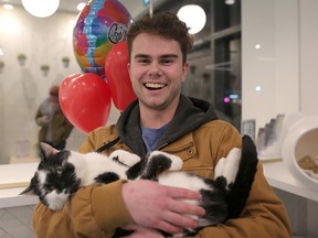 Andrew Humphreys is reunited with his cat Hank again at the Regal Cat Cafe in Calgary, on Monday January 28, 2019. Hanks had gone missing for six months and was found in November of 2018. Leah Hennel/Postmedia