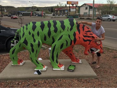 While technically not a dinosaur, this sabre-toothed cat is also in the town's statue collection. (Provided / DinoArts Association)