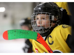 File - ow River Bruins PeeWee 4 Black Jackson Pease looks on during play against the Crowfoot PeeWee 4 White in Semi-Final Minor Hockey Action at the Shouldice arena in Calgary on Thursday January 17, 2019. The province anounce a relaxation of restrictions on certain sports activities starting Feb. 8.