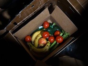 A solid one-third of food waste in Canada — more than 11 million tonnes — could be recovered, a report says.