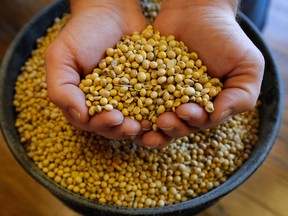 The lack of data has made it impossible to confirm speculation that China is ramping up purchases of U.S. soybeans — a development that could significantly impact pricing.