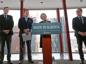 Premier Rachel Notley announced new programs to support high-tech industry during a press conference on the observation deck of the Calgary Tower on Wednesday February 13, 2019. The premier is joined (l-r) by John Shillington, CEO, Alberta Machine Intelligence Institute, Deron Bilous, Minister of Economic Development and Trade and Joe Ceci, Minister of Finance.