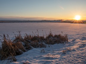 The sun sets over a frosty slough near Lyalta on Tuesday, Feb. 5, 2019.