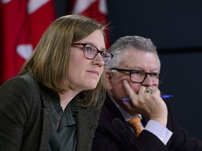 Minister of Democratic Institutions, Karina Gould, along with the Minister of Public Safety and Emergency Preparedness, Ralph Goodale, make an announcement regarding safeguards to Canada's democracy and combatting foreign interference during a press conference in Ottawa on Jan. 30, 2019.