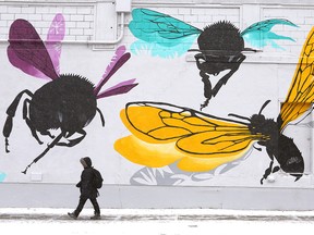 A bundled-up pedestrian walks in front of a mural called Bee Together on 10th Avenue and 12th Street S.W. in downtown Calgary on Friday, Feb. 1, 2019.