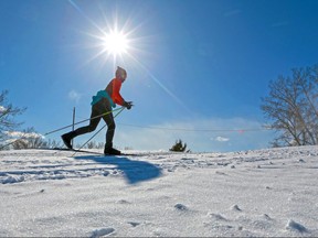 A cross-country skiers climbs a hill at the Confederation Park Golf Course on Saturday March 2, 2019. Weekend cold weather may be leading into warmer days next week.  Gavin Young/Postmedia