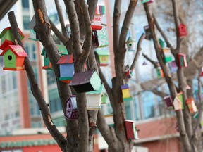Dozens of bird houses were ready for potential spring visitors in an art installation as part of  the Bridgeland-Riverside community's interim revitalization project under the 4th Avenue flyover. Gavin Young/Postmedia