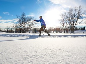 A cross-country skier enjoys a winter day at Confederation Park, where most Calgarians meet Confederation Creek.  But, most of Confederation Creek is invisible to Calgarians, as it has been vaulted underground for most of its course.
  Gavin Young/Postmedia