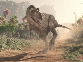 An illustration of a tyrannosaurus rex.
