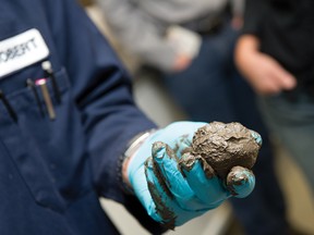 Worker at Syncrude's research facility in Edmonton shows a sample of material used at reclaimed oil sands sites.