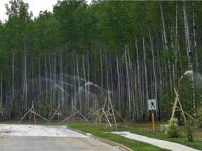 Water sprinklers are seen along a row of trees on the edge of High Level on Wednesday, May 22, 2019
