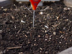 Measure the soil temperature before you plant. The herb garden is a raised bed on legs, so there is cool air below the bed reducing the insulation and heat retention.