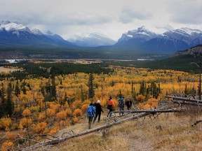 Two O'Clock Ridge near Cline, Alta., is shown in this undated handout photo. Alberta's new environment minister says he will scrap the previous government's proposed plan for protected areas in western Alberta.