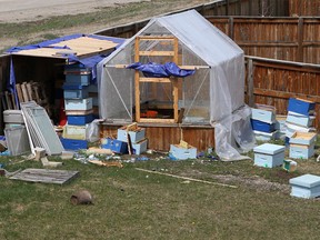 Bee hives are shown in the backyard of an Evergreen property in  southwest Calgary on Thursday, May 9, 2019.