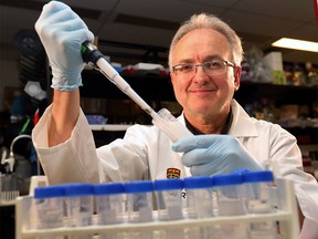 University of Calgary professor of immunology and infectious diseases Dr. Pere Santamaria poses for a photo in the microbiology department at Foothills Campus. His company Parvus Therapeutics has signed a $1 billion deal with Genentech to develop Navacim Therapeutics for treatment of autoimmune diseases in Calgary on Thursday, May 16, 2019. Darren Makowichuk/Postmedia