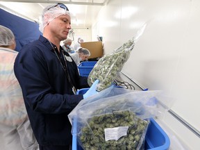 Sundial Growers vice president of cultivation Mark Settler checks packaged cannabis ready for shipping from the company's cannabis production facility in Olds on Wednesday March 27, 2019.