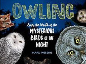 Owling for Barbra Hesson