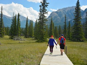 An image of two hikers walking along the boardwalk on the Siffleur Falls hike in Alberta's Bighorn Country.