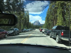 Banff National Park has now placed parking restrictions in the Johnston Canyon area to eliminate parking aong the Bow Valley Parkway. Photo supplied by Parks Canada