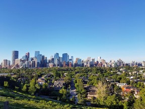 Trees are an important aspect of any city. The tree canopy in Calgary covers approximately seven per cent of the urban area.