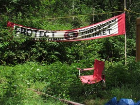 Not much is left of Camp Cloud, the former protest camp for anti-pipeline activists in Burnaby.