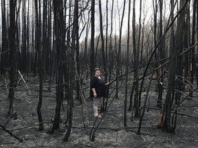 Paddle Prairie Metis Settlement resident Wilma Cardinal examines some trees on the settlement destroyed by wildfire on Wednesday June 19, 2019. A wildfire destroyed at least fifteen homes on the settlement, located 80 kilometres south of High Level, Alberta. All residents of the largest Metis settlement in Alberta have been evacuated but are expected to return this week. Wildfires in northern Alberta are still burning out of control. (PHOTO BY LARRY WONG/POSTMEDIA)