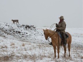 A cowhand on the McIntyre Ranch. Photo by Van Christou. From D. Larraine Andrews book Ranching Under the Arch.