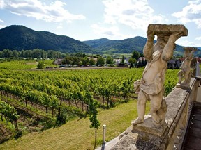 The wines from Domane Wachau's vineyards in Austria, shown above, are worth seeking out for a pure and fresh taste.