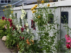 Gardens don't need to be restricted to the front yard. Some homeowners have created peaceful nature spots in the back alley.