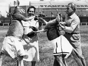 Boxing kangaroos owned by Mayo and Ralph Green were a grandstand attraction at the Calgary Stampede in 1959. (Calgary Herald, Archive)