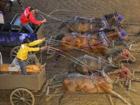 Kurt Bensmiller catches Vern Nolin at the finish in Heat 9 of the Rangeland Derby at the Calgary Stampede  on July 5, 2019.