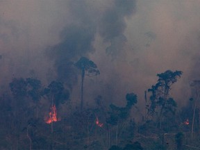PORTO VELHO, RONDONIA, BRAZIL - AUGUST 25:  In this aerial image, a fire burns in a section of the Amazon rain forest on August 25, 2019 in Porto Velho, Brazil. According to INPE, Brazil's National Institute of Space Research, the number of fires detected by satellite in the Amazon region this month is the highest since 2010.  (Photo by Victor Moriyama/Getty Images)