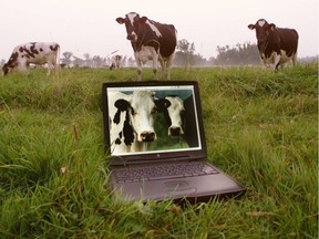 Canada must accelerate investment in agriculture technology and address its growing farm labour shortage or risk being left behind, a new report by the Royal Bank of Canada warns.