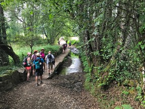 An image of a group of people walking through a wooded area of the Camino de Santiago in Spain.
