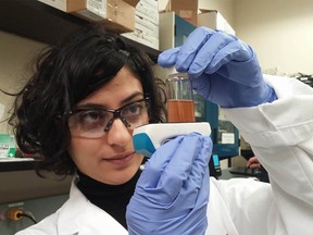 Engineering graduate student, Maysam Alnajjar uses core/shell nanoparticles for removal of pharmaceutical compounds from water.  She graduated in fall 2018 and Alnajjar has worked under Dr. Nashaat Nassar. Supplied