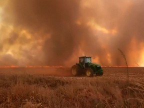 Amazon burning: Brazil reports record forest fires.