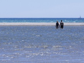 Woodbine Beach in Toronto swelters in the summer heat.