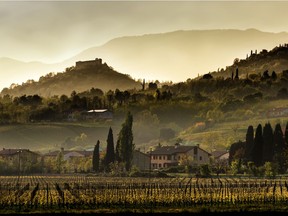 As autumn reaches the vineyards, palates turn to deeper, richer wines.