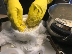 Joanne Elves preparing the curds to be squished into the cheddar wheel lined with cheese cloth.