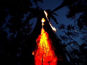 FILE PHOTO: A burning tree is seen during a fire in an area of the Amazon rainforest in Itapua do Oeste, Rondonia State, Brazil, September 11, 2019. Picture taken September 11, 2019. REUTERS/Bruno Kelly     TPX IMAGES OF THE DAY/File Photo ORG XMIT: FW1