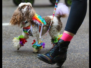 Calgarians from all walks of life celebrated pride week with the Calgary Pride parade through downtown Calgary on Sunday September 1, 2019.