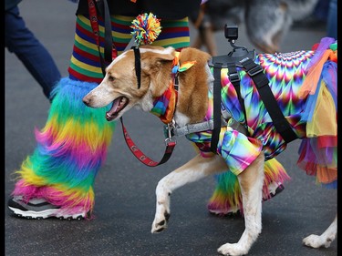 Calgarians from all walks of life celebrated pride week with the Calgary Pride parade through downtown Calgary on Sunday September 1, 2019.