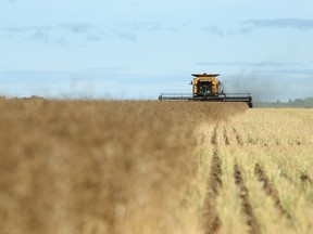 Without strong, effective leadership in Ottawa, the agriculture and agri-food sector is like a large choir trying to harmonize without a conductor.