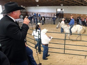 A horse auction at the Griffin Valley Ranch outside Cochrane. 39 horses and ponies were sold. Saturday, September 7, 2019. Brendan Miller/Postmedia